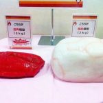 同じ体重でも、お腹スリム、お腹ポッコリの違い・・・なぜ?