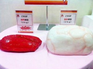 同じ体重でも、お腹スリム、お腹ポッコリの違い・・・なぜ？