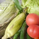 夏を元気に過ごそう~夏の食とライフスタイル~