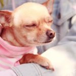 ランチ後眠くなる??そんな人の5つのメンテナンス方法