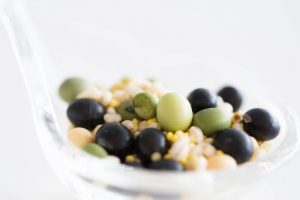 メンタルコーチ長谷川裕美さんに、雑穀ごはんの感想を頂きました！