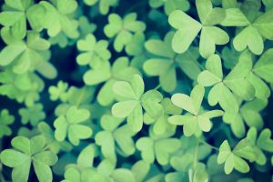 ママになって変わったこと。想いを伝え続けることの大切さ