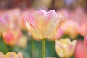 思い描くだけでなく、行動すれば進んでいくね！