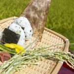 シンプルな昔ながらの食事に辿り着いた!