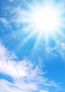 幸せホルモンを増やすには、しっかりと食べる♪