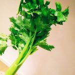 セロリの美味しい食べ方♪葉っぱも栄養豊富です
