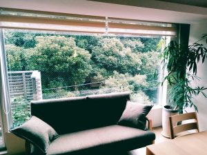 【新宿・代々木】４０歳からの、中からエイジングケア！秋の薬膳レッスン♪