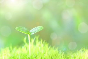 フリーランス管理栄養士になり、出会う人が変わった❢