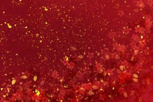 2017年も素敵な方に恵まれたな〜^^感謝です