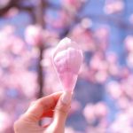 食べ方を変えたら、ライフスタイルが好転しはじめた