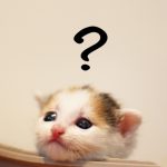 あれこれ迷うなら、信頼のおけるその道のプロに聞いてみよ