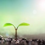 確固たる食の軸を持てた理由は?