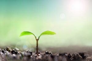 確固たる食の軸を持てた理由は？